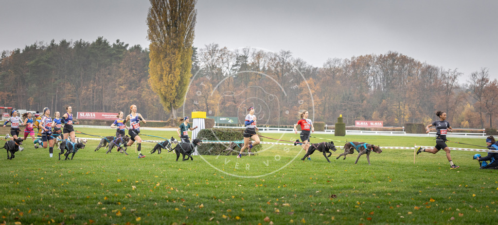 CaniXpix_DV3A8734 | Hundefotografie, Tierfotograf, Pfotenfotografie, Fotoshooting Hund, Hunde Portrait, Hundesport, Hundeportraits, Heideshooting, Hunde, Sportfotograf, Hundefotograf, Turnierhundsport, THS,  - Realisiert mit Pictrs.com