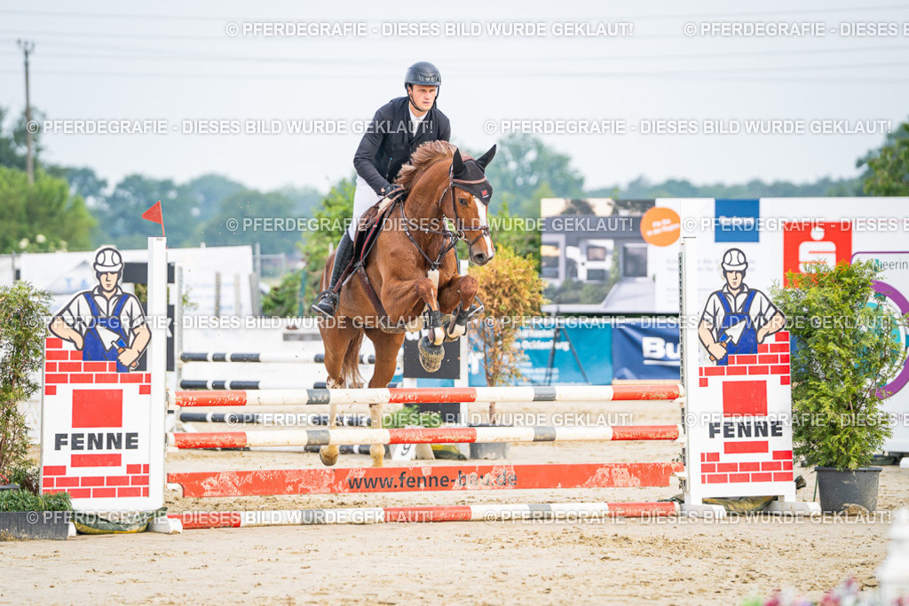 DSC08793 | Pferdegrafie