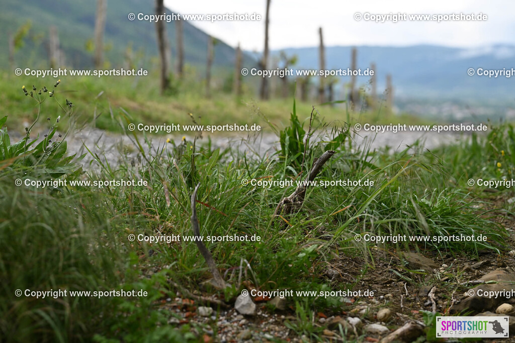 DSC_8381 | Ultra Trail Vipava Valley - Slovenia Trail Running 2024                                                        @Ultra Trail Vipava Valley - Slovenia             @Sportshotphotography                                  PhotoCredit : www.sportshot.de