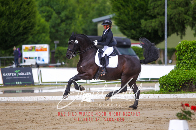 DKP40829 | Turniersportfotografie; Pferdefotografie; Dressurfotografie