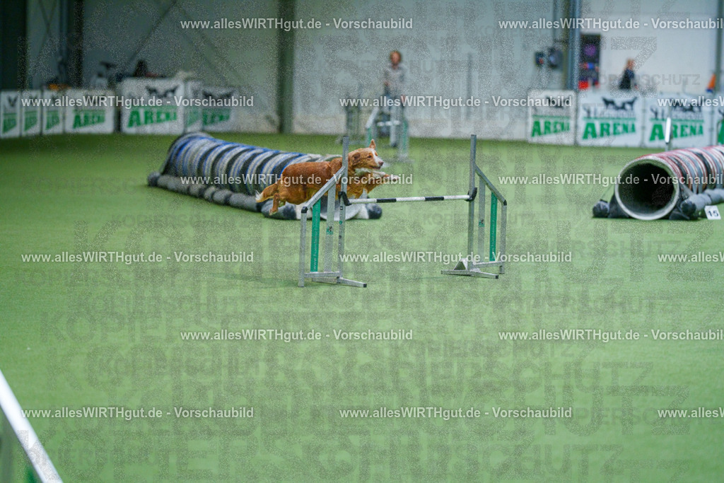 @allesWIRTHgut_Tierfotografie - www.allesWIRTHgut.de - 2604250946-7R508926 | Professionelle Tierfotografie in Mönchengladbach von Daniel Wirth (allesWIRTHgut). Liebevolle & natürliche Bilder von Hunden & Katzen für unvergessliche Erinnerungen.