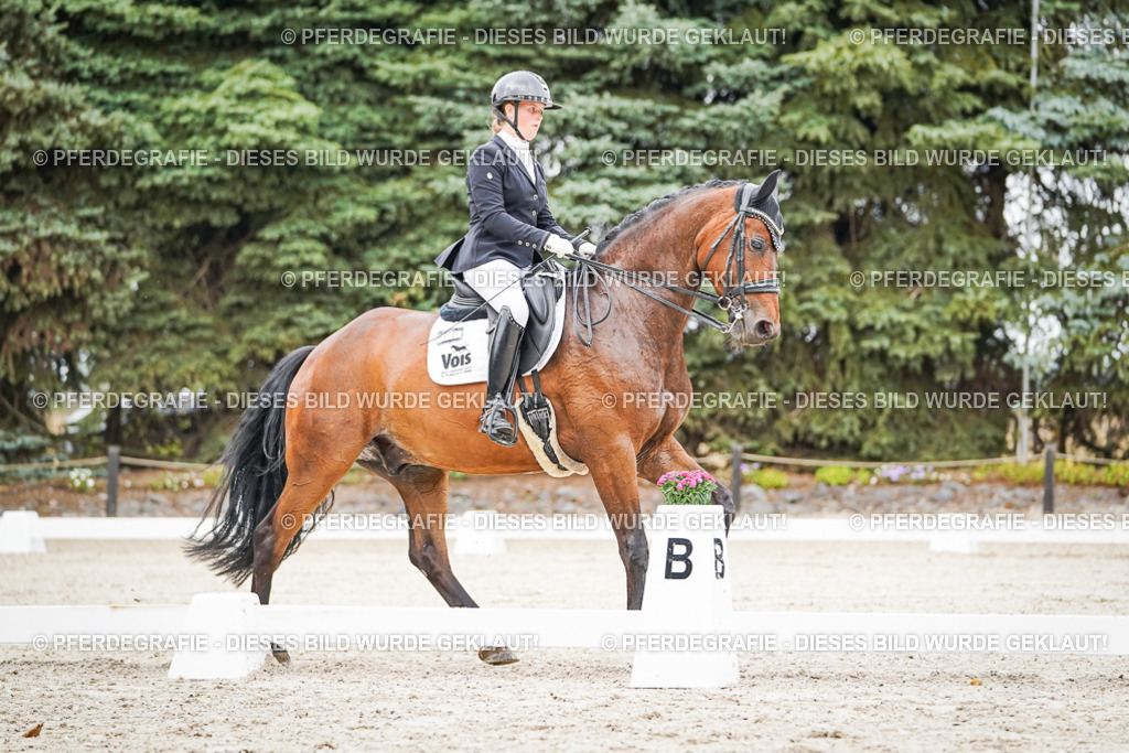 DSC08294 | Pferdegrafie