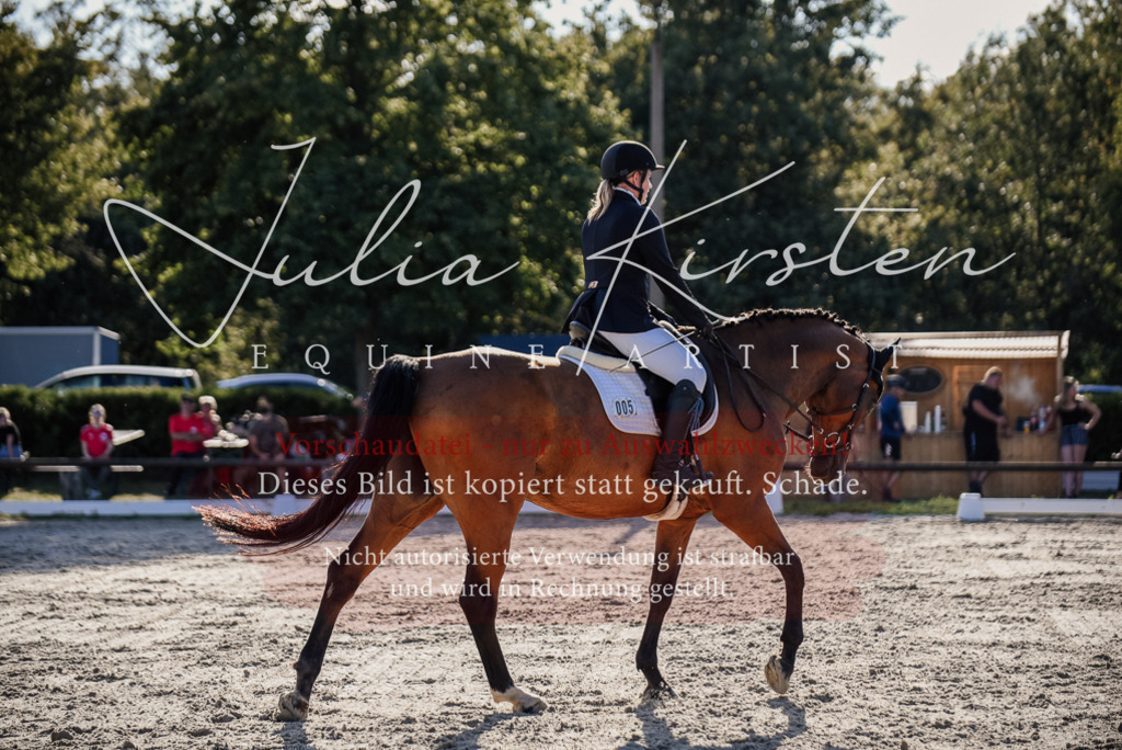 DSC_0682 | Pferde- und Turnierfotografie in Westsachsen. Pferdeportraits, Auftragszeichnungen und intuitive Kunst.