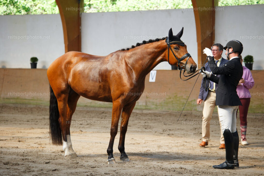 JHE_0177 | JoYa Fotografie - Realisiert mit Pictrs.com