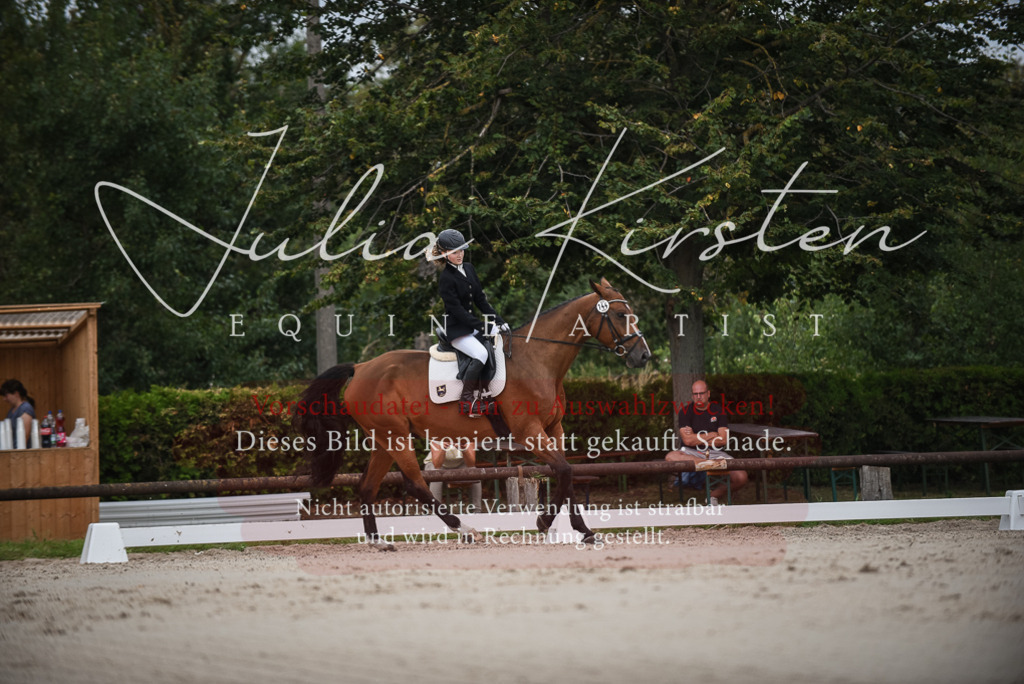 DSC_8010 | Pferde- und Turnierfotografie in Westsachsen. Pferdeportraits, Auftragszeichnungen und intuitive Kunst.