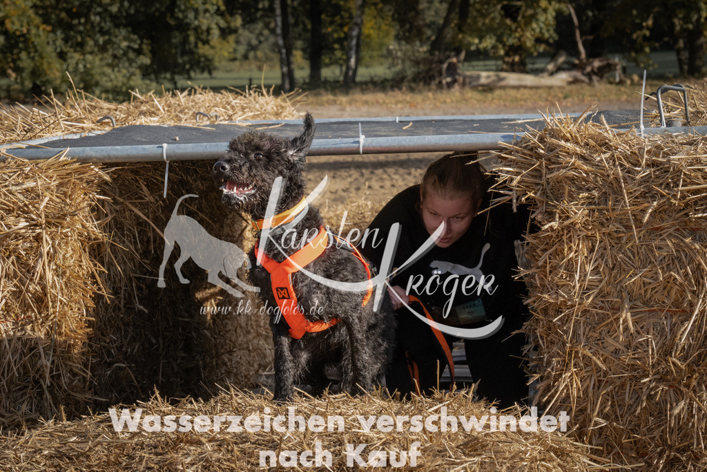 1051_ZZ99424 | kk-dogfotos
