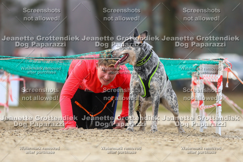 Dog Paparazzi - Strongdog North Mrz26-4680 | Dog Paparazzi Jeanette Grottendiek Fotografie & Videografie - Realisiert mit Pictrs.com