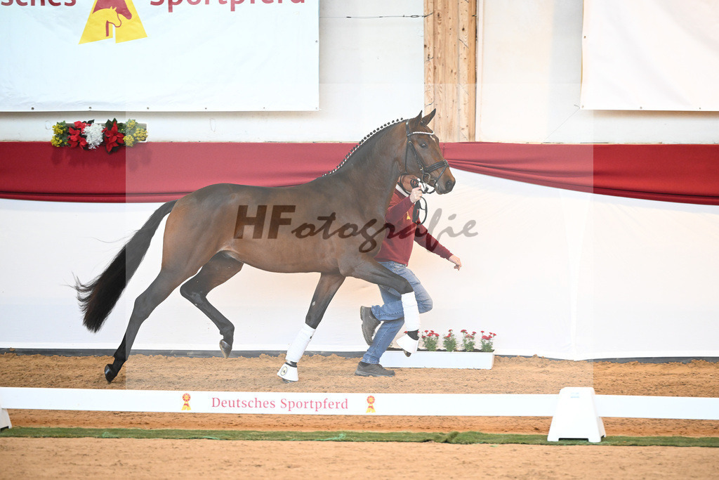 Kat-Nr. 40 Monte Carlo TC x Finest_Gestuet Greim_43230320 | hf-fotografie - Realisiert mit Pictrs.com