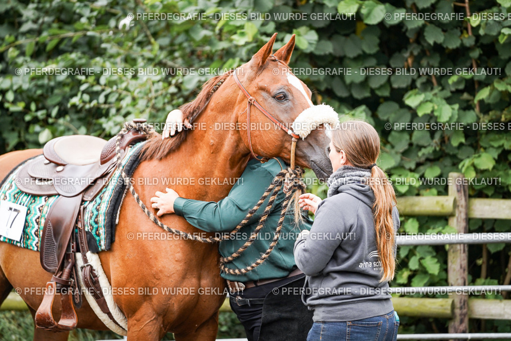 DSC02922 | Pferdegrafie