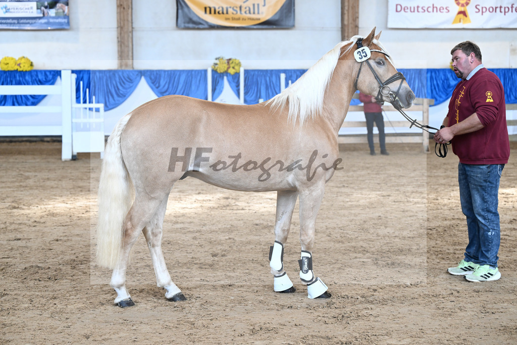 Kat-Nr. 35 nn v. Bugatti_Friedrich_48250102 | hf-fotografie - Realisiert mit Pictrs.com