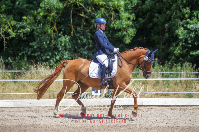 DKP46478 | Turniersportfotografie; Pferdefotografie; Dressurfotografie