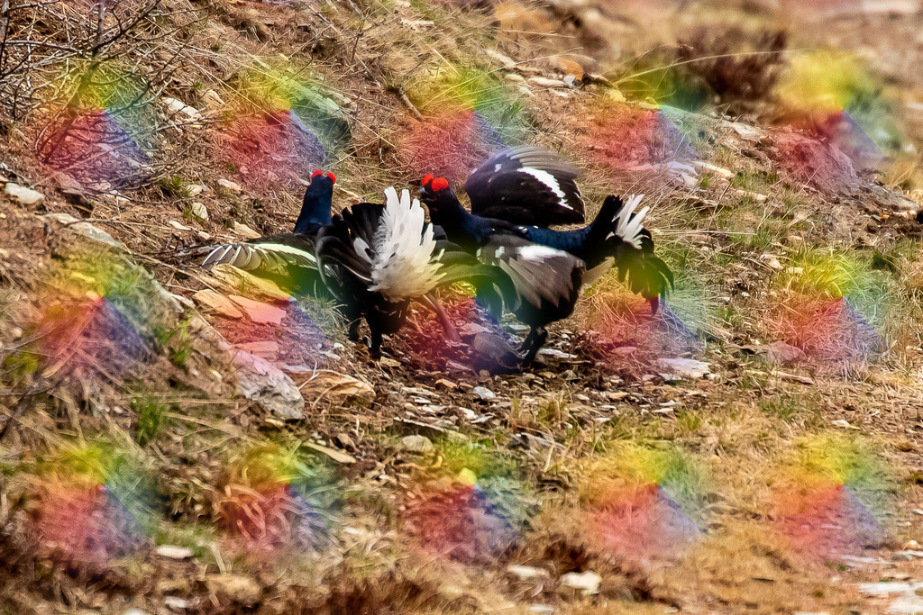 20230521-7J9A5357 | FineArtPrint, Hahnemühle, FeeGalerie, Fee Galerie, Fotokunst, Fotografie, Canonphotography, Bergfoto, Matterhorn, Rimpfischhorn, Allalinhorn, Saas-Fee, Wallis, Valais, Switzerland, Bergfotografie