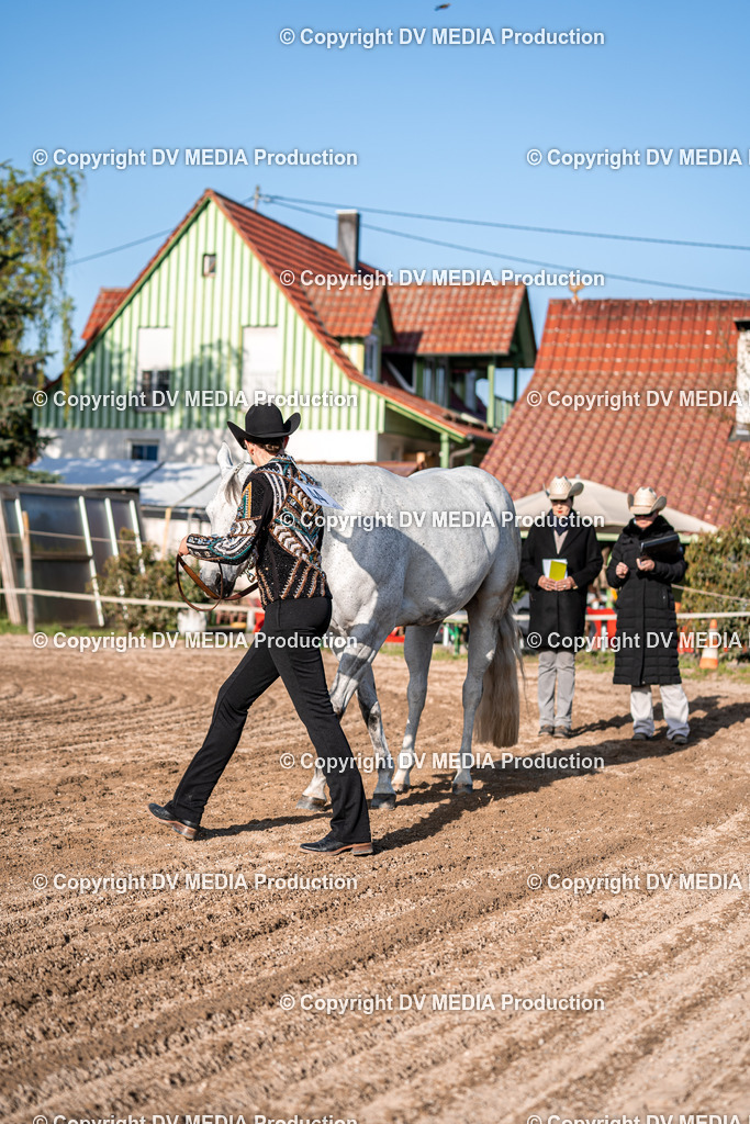 Balingen Tag 4-09 | dv-media-shop - Realisiert mit Pictrs.com