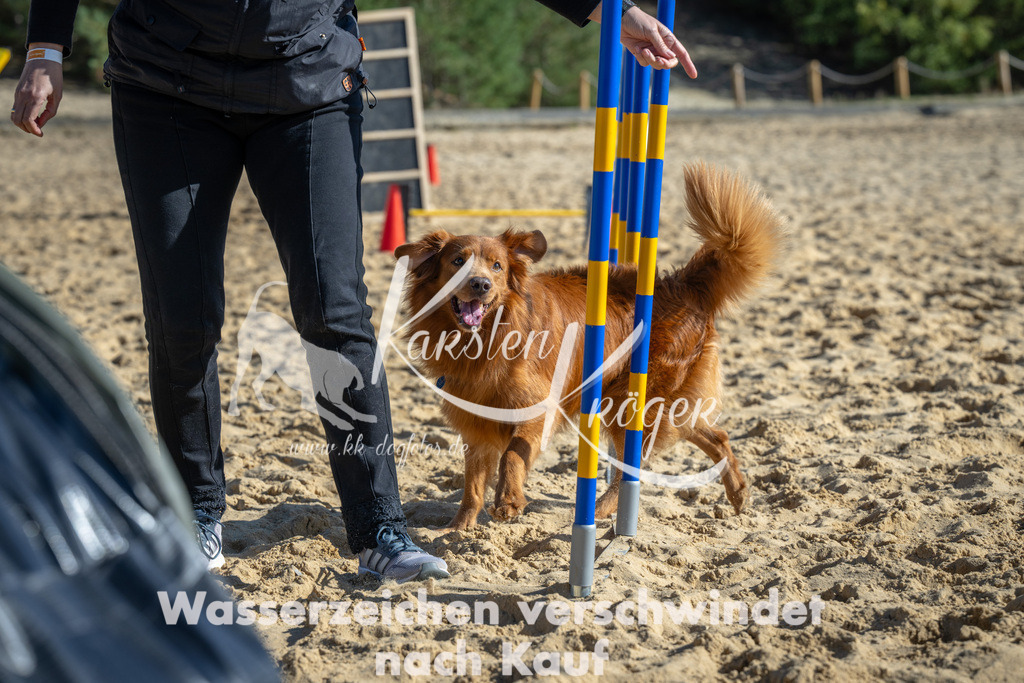 1455_ZZ92026 | kk-dogfotos