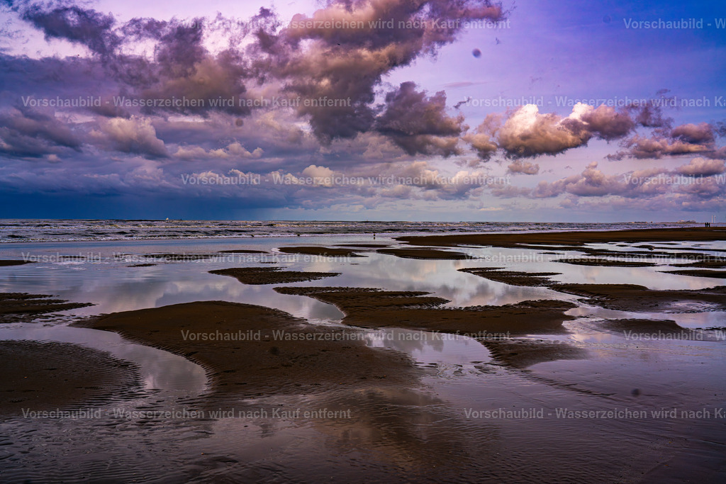 DSC01505-Enhanced-NR | marcuslinek