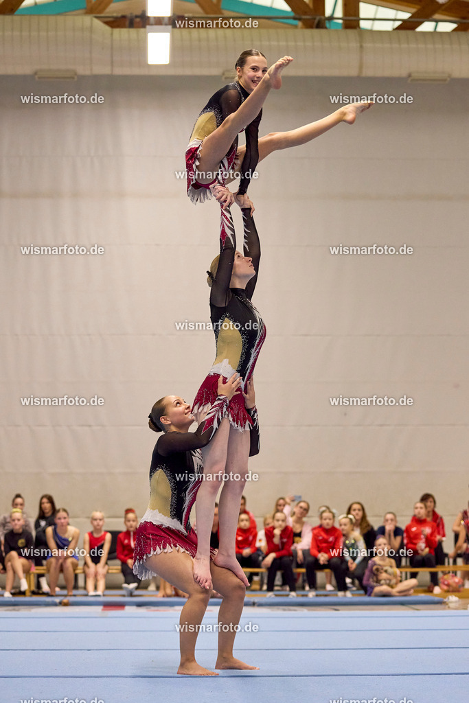 251108_wismar_316 | wismarfoto.de - Realisiert mit Pictrs.com