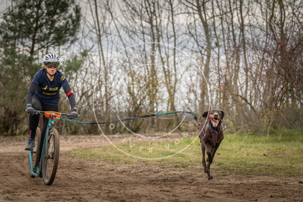 Pfotenfotografie_DV3A9684 | Hundefotografie, Tierfotograf, Pfotenfotografie, Fotoshooting Hund, Hunde Portrait, Hundesport, Hundeportraits, Heideshooting, Hunde, Sportfotograf, Hundefotograf, Turnierhundsport, THS,  - Realisiert mit Pictrs.com
