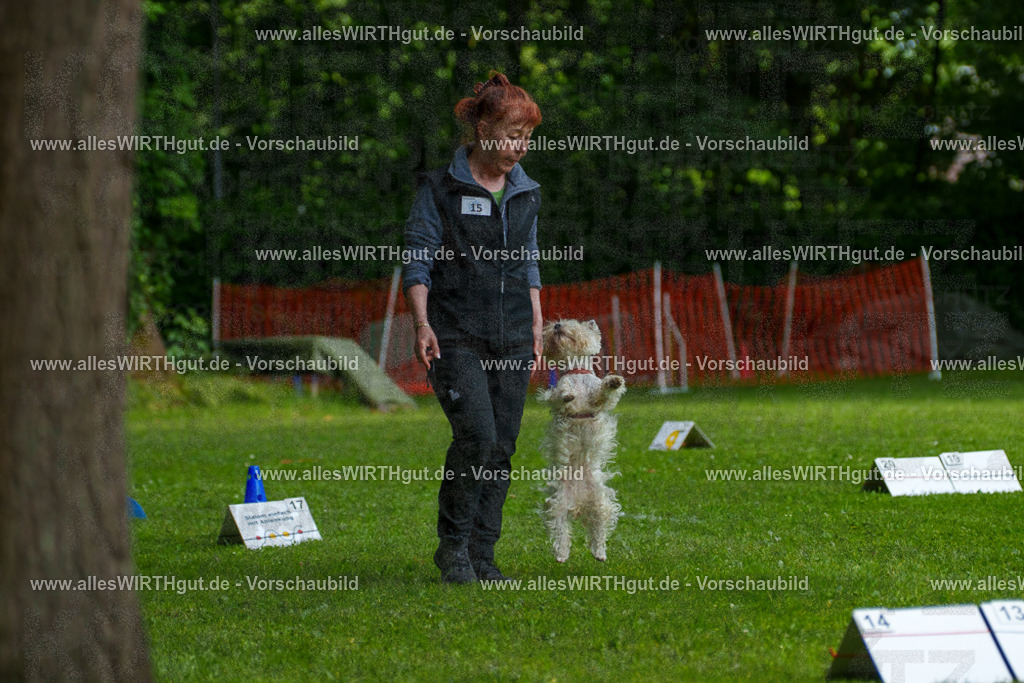 @allesWIRTHgut_Tierfotografie - www.allesWIRTHgut.de - 7R503841 | Professionelle Tierfotografie in Mönchengladbach von Daniel Wirth (allesWIRTHgut). Liebevolle & natürliche Bilder von Hunden & Katzen für unvergessliche Erinnerungen.