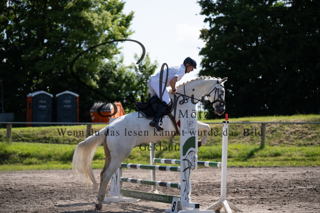 A7V03534 | Pferdefotograf