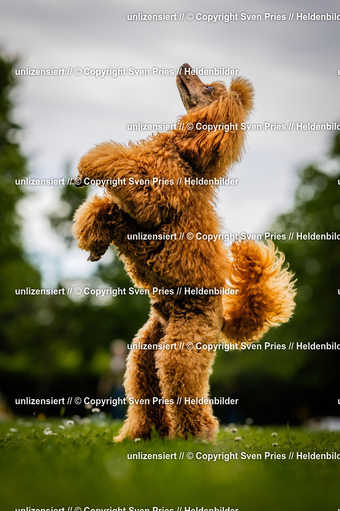 Sven Pries | 2025-05-29 - Pudelrennen KA-Durlach - Realisiert mit Pictrs.com