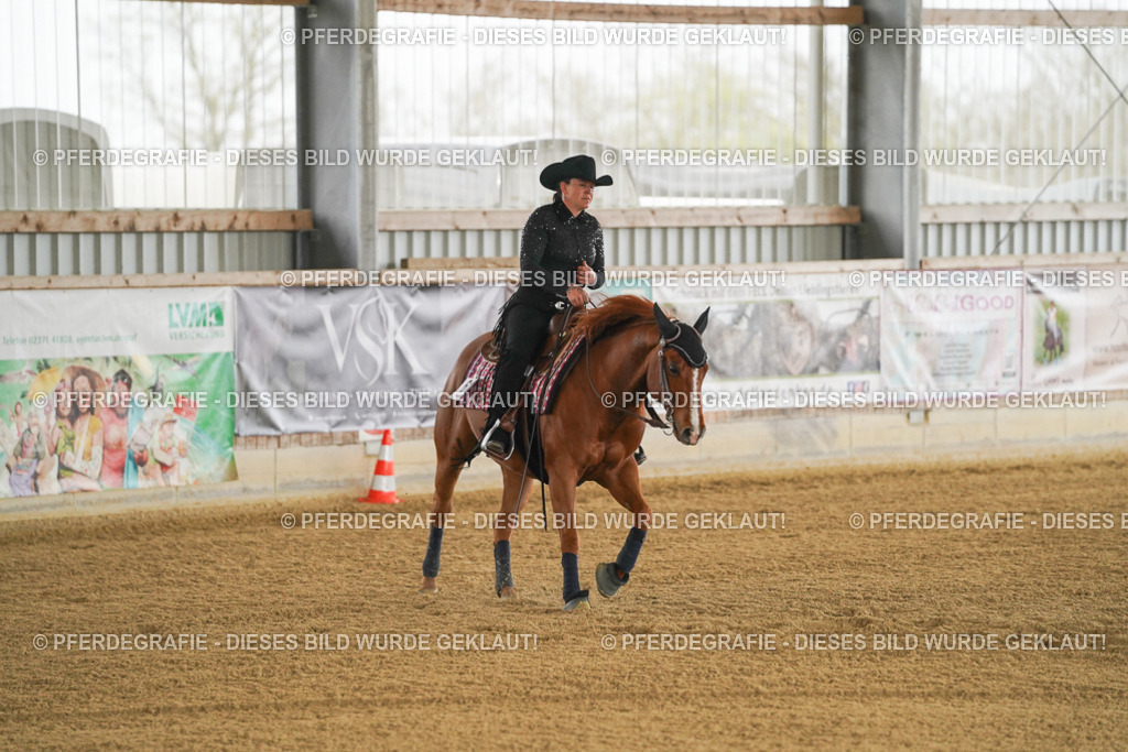 DSC06981 | Pferdegrafie