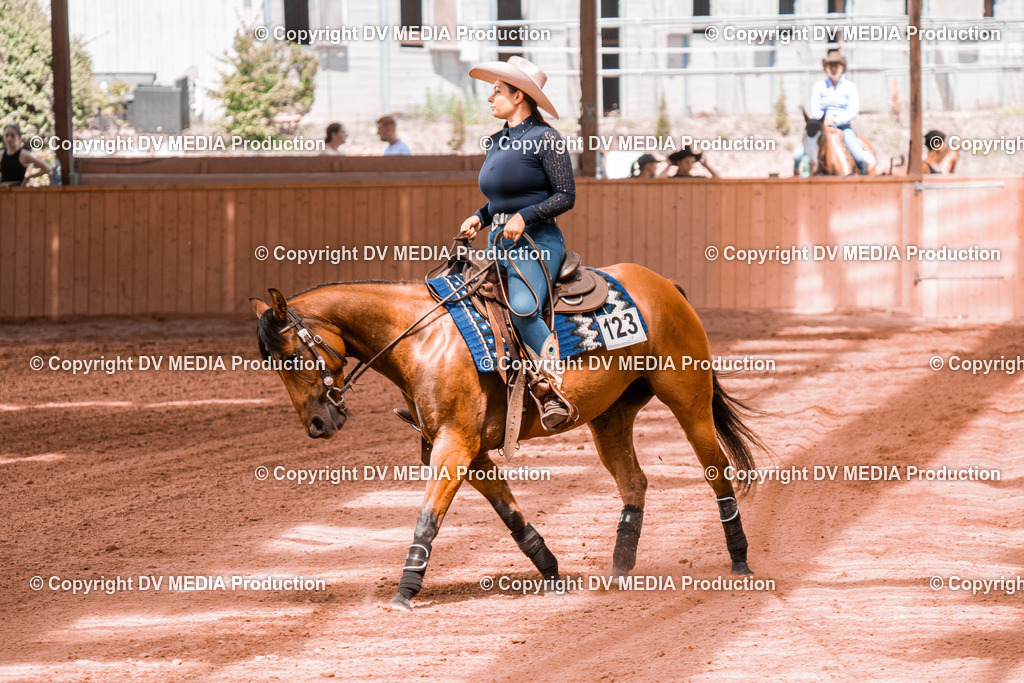 NE200815 | dv-media-shop - Realisiert mit Pictrs.com