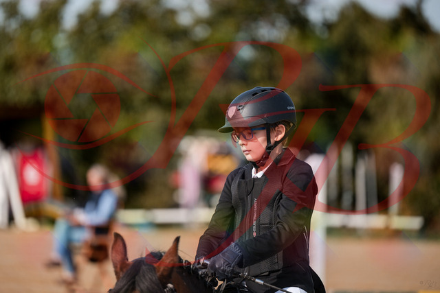 2026_10_03_Siefer-Hof_122058_Z63_44516707 | Professionelle Reitsport-, Turnier- und Eventfotografie von Robert Broda. Galerien mit ausgewählten und bearbeiteten Bildern direkt online ansehen und bestellen.