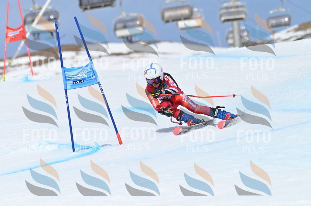 BGV_1898 | holidayphoto