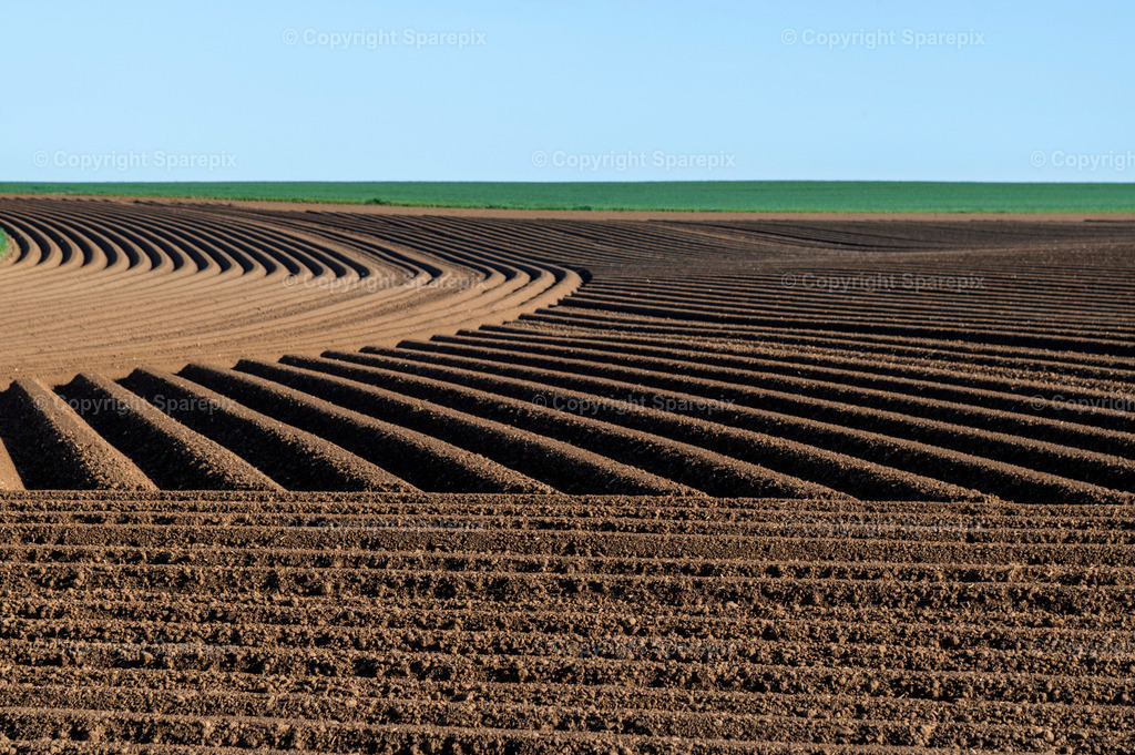 CAR_Agri_Spring_Field43 | sparepix - Realisiert mit Pictrs.com