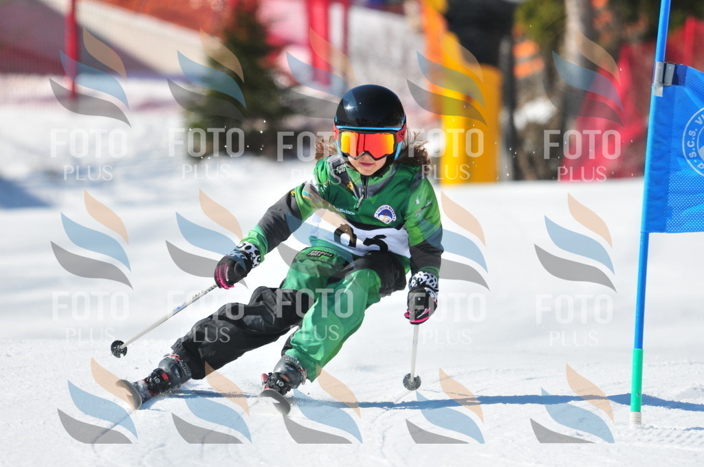 C2982 | holidayphoto