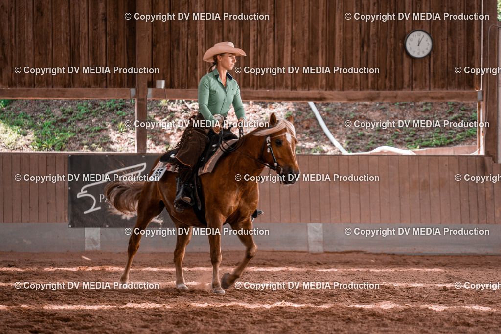 NE100616 | dv-media-shop - Realisiert mit Pictrs.com