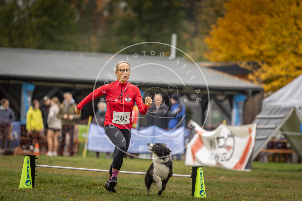 Pfotenfotografie_DV3A1627 | Hundefotografie, Tierfotograf, Pfotenfotografie, Fotoshooting Hund, Hunde Portrait, Hundesport, Hundeportraits, Heideshooting, Hunde, Sportfotograf, Hundefotograf, Turnierhundsport, THS,  - Realisiert mit Pictrs.com