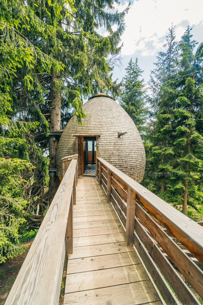 Malga_Priu_Karnische_Milchstrasse_2020-81 | piet_flosse