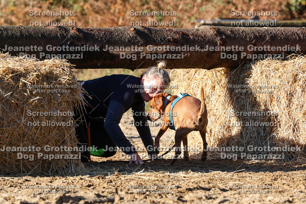 Dog Paparazzi - Strongdog 10-25-1624 | Dog Paparazzi Jeanette Grottendiek Fotografie & Videografie - Realisiert mit Pictrs.com
