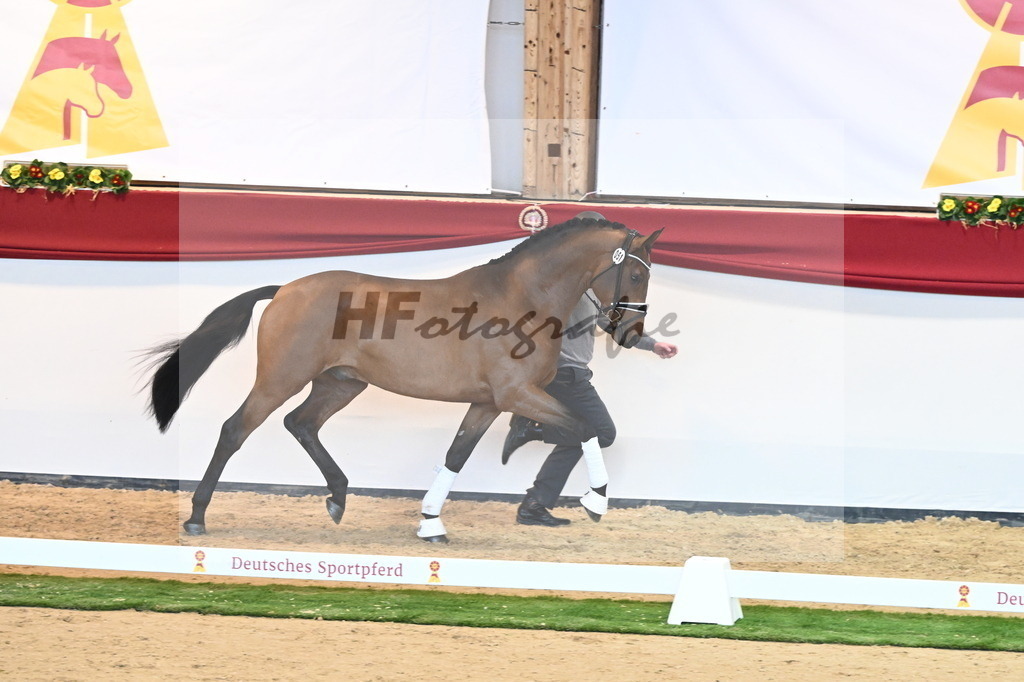 Kat.-Nr. 51 v. Freiherr von Stein_Graditz_2240597 | hf-fotografie - Realisiert mit Pictrs.com