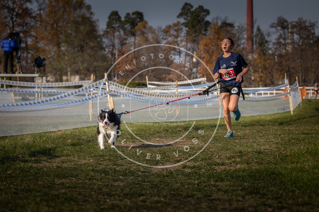 CaniXpix_0L8A9396 | Hundefotografie, Tierfotograf, Pfotenfotografie, Fotoshooting Hund, Hunde Portrait, Hundesport, Hundeportraits, Heideshooting, Hunde, Sportfotograf, Hundefotograf, Turnierhundsport, THS,  - Realisiert mit Pictrs.com