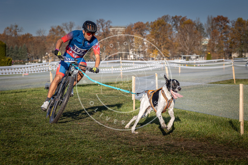 CaniXpix_0L8A4398 | Hundefotografie, Tierfotograf, Pfotenfotografie, Fotoshooting Hund, Hunde Portrait, Hundesport, Hundeportraits, Heideshooting, Hunde, Sportfotograf, Hundefotograf, Turnierhundsport, THS,  - Realisiert mit Pictrs.com