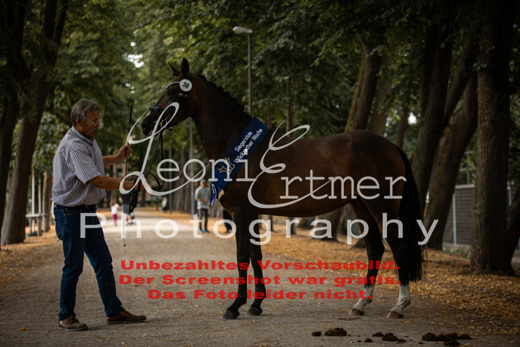 SoER00156 | Leoni Ertmer Photography - Realisiert mit Pictrs.com