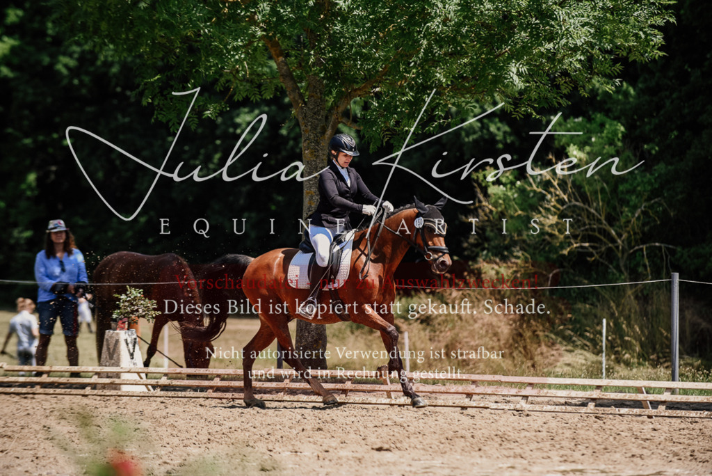 DSC_1901 | Pferde- und Turnierfotografie in Westsachsen. Pferdeportraits, Auftragszeichnungen und intuitive Kunst.