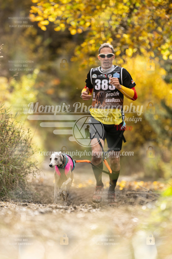 MompixPhotography_ICF_WC_2024_SA_Run_-340 | PayLife