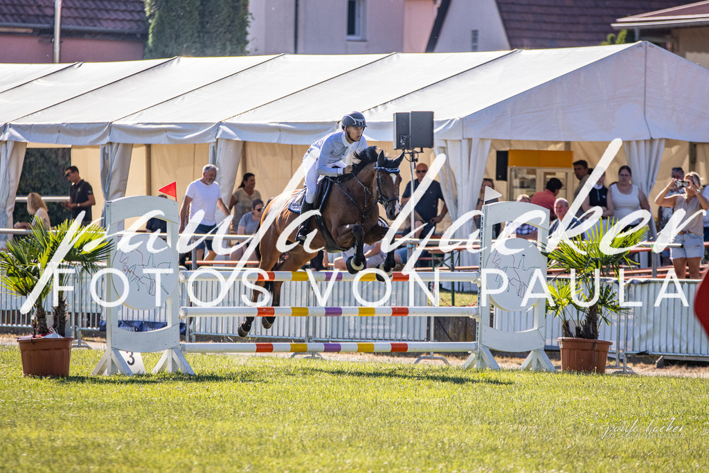 IMG_0042 | Erleben Sie dynamische Sport- und emotionale Tierfotografie in Süddeutschland mit Fotos von Paula. Spezialisiert auf Pferde- und Hundefotografie sowie Sportevents. Kontaktieren Sie mich für einzigartige und ausdrucksstarke Bilder Ihrer besonderen Momente. - Realisiert mit Pictrs.com