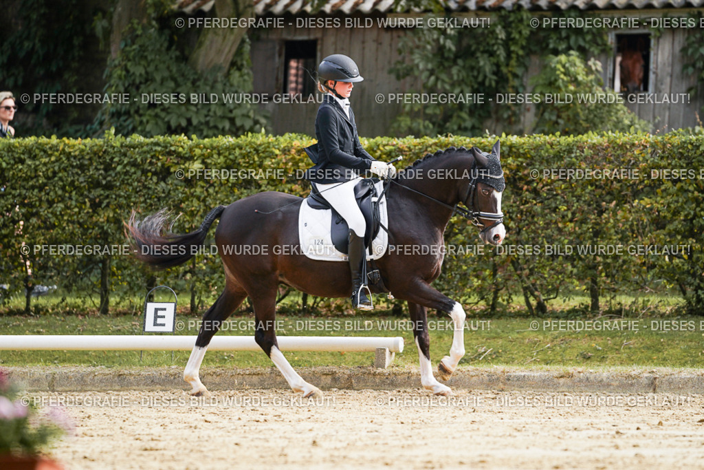 DSC04938 | Pferdegrafie