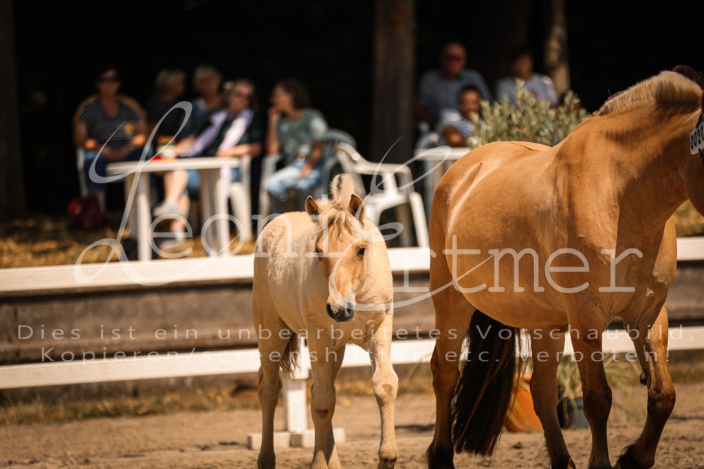 05.DoF00003 | Leoni Ertmer Photography - Realisiert mit Pictrs.com