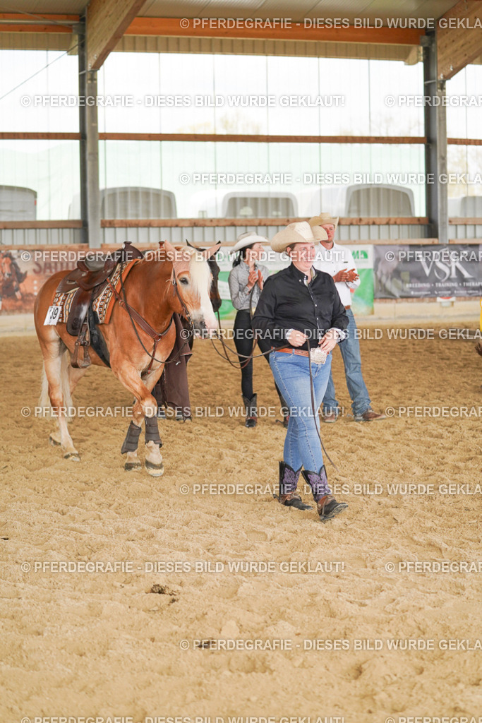 DSC02275 | Pferdegrafie