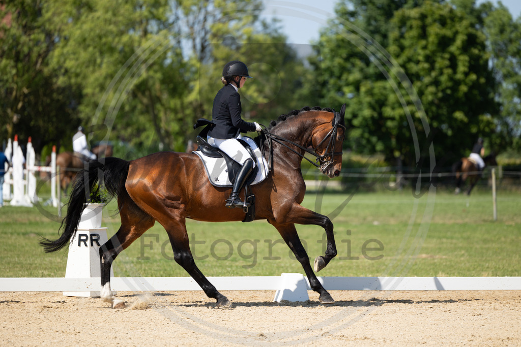 994A3024 | sabrinanicolaifotografie - Realisiert mit Pictrs.com