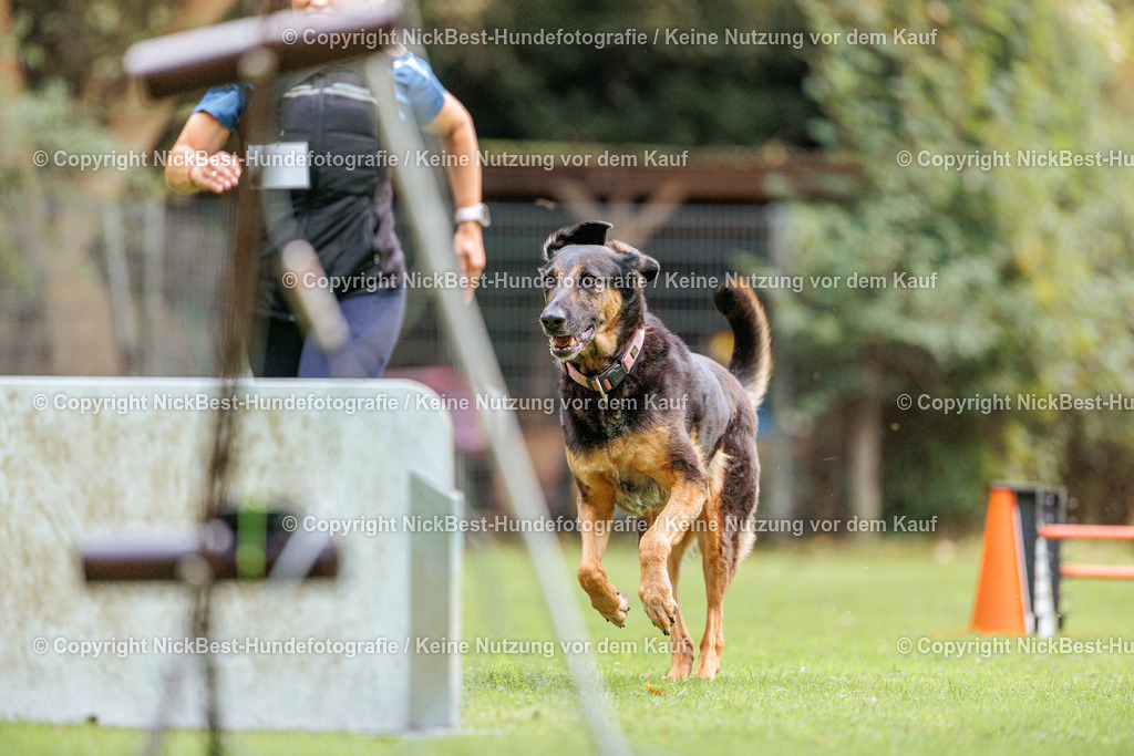 THS-HSV-Blumenthal-2026-Nickbest-Hundefotografie-1722 | Dein Hund! Dein Moment! Deine Erinnerungen! Hundefotografie in Bremen Blumenthal. Ich fange die besonderen Momente deines Vierbeiners ein – ob Indoor mit Blitzanlage oder in der freien Natur. Sicher dir dein Moment und dein Termin für eure Erinnerungen.