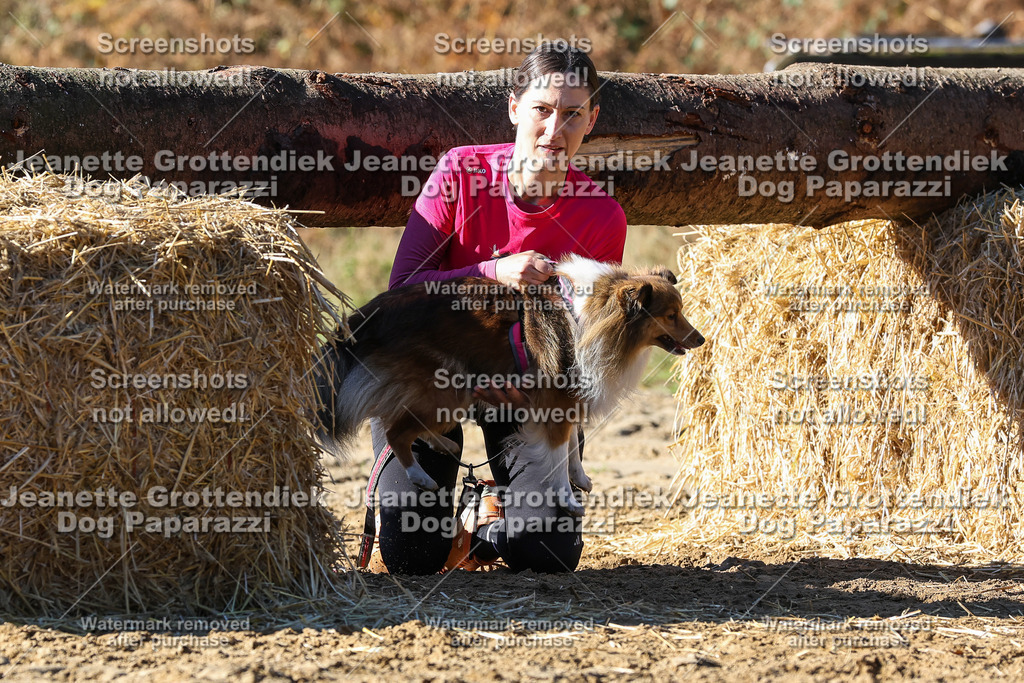 Dog Paparazzi - Strongdog 10-25-2482 | Dog Paparazzi Jeanette Grottendiek Fotografie & Videografie - Realisiert mit Pictrs.com