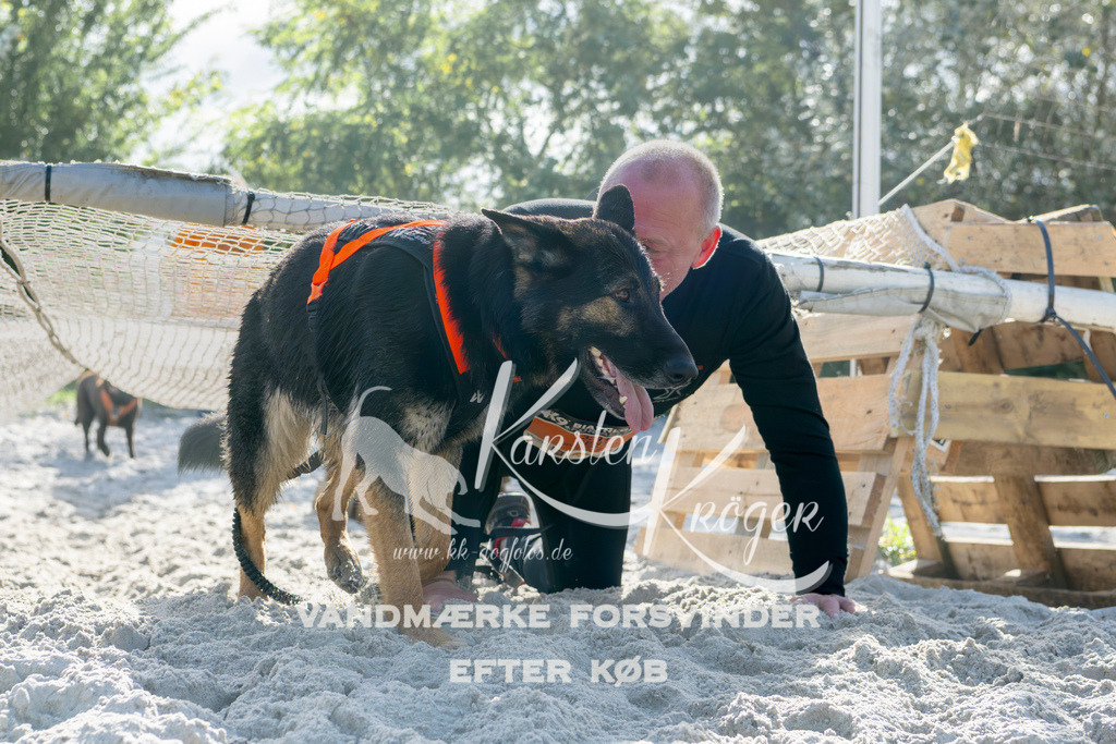 1252_ZZ94019 | kk-dogfotos