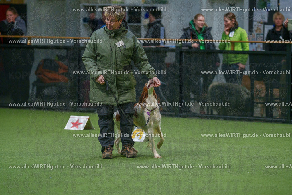 7R504848 | Professionelle Tierfotografie in Mönchengladbach von Daniel Wirth (allesWIRTHgut). Liebevolle & natürliche Bilder von Hunden & Katzen für unvergessliche Erinnerungen.