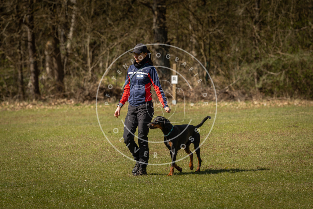 Pfotenfotografie_DV3A0776 | Hundefotografie, Tierfotograf, Pfotenfotografie, Fotoshooting Hund, Hunde Portrait, Hundesport, Hundeportraits, Heideshooting, Hunde, Sportfotograf, Hundefotograf, Turnierhundsport, THS,  - Realisiert mit Pictrs.com